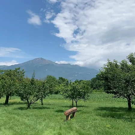 Il Pocio *